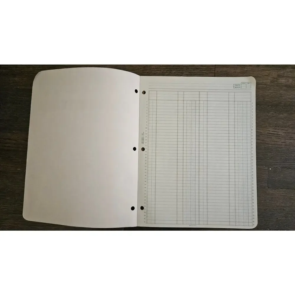 Vintage Boorum & Pease Accountants Work Sheet Pad 8800 DE Ledger 3 Hole Paper